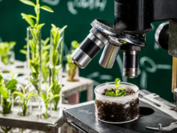 Microscopio de análisis de plantas