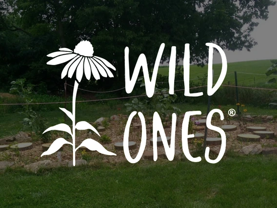 wild ones