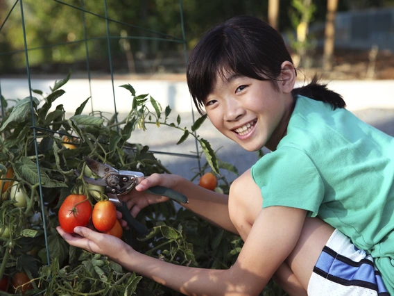 Student gardening