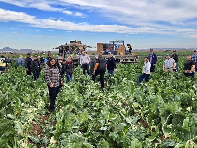 Photo of people in a farm field