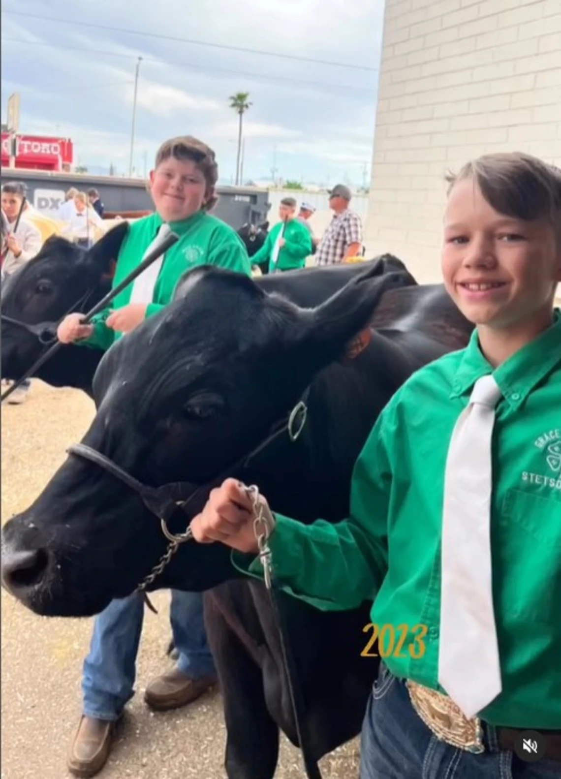 4-H kids in green shirt and tie showing cows at fair