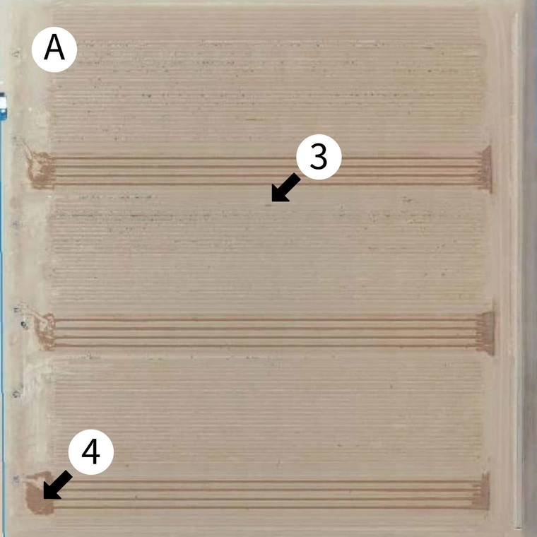 High overhead drone photo of agriculture field that is mostly dirt with rows of crops