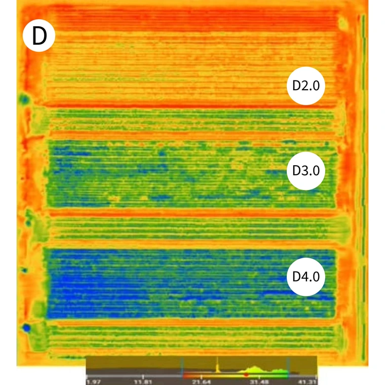 Surface temperature overhead drone photo of agriculture field