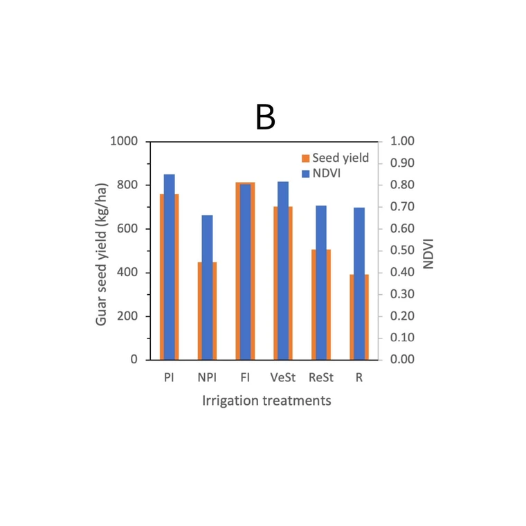 Bar chart showing guar seed yield for different irrigation treatments