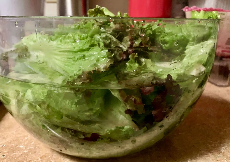 lettuce in glass bowl about half full with water