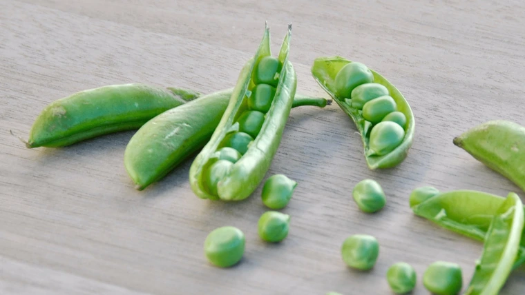 multiple open peadpods on counter with peas coming out