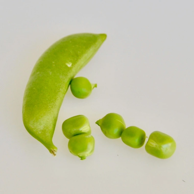 peas outside of closed peapod