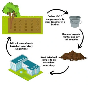 process for collection, preparing and sending tried sample to laboratory to get soil ammendment recommendations