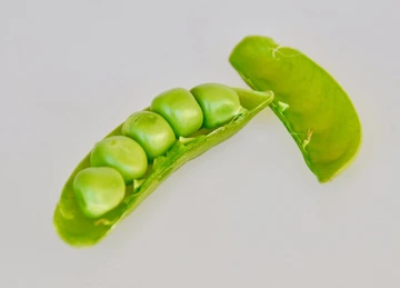 open peapod with peas inside