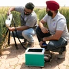 Photo of Bhpunder Singh working in a field