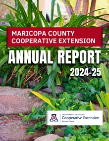 MCCE Annual Report 2024-25